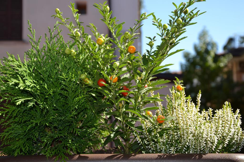 In Centro Charme Bed & Breakfast Bergamo Luaran gambar